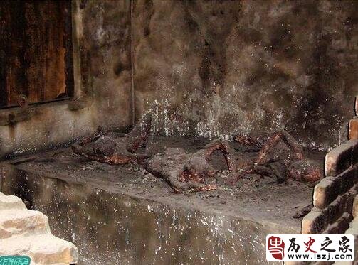 黑龙江省大兴安岭的4个林区发生特大火灾事件始末 肇事者割草引起