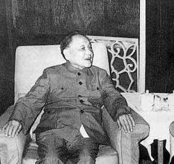 1983年邓小平为何不满公安部的严打报告？