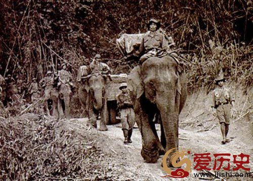 明志明小道上的大象运输队。在美军的频繁轰炸和种破坏下同治计其数的物资正是通过这样的原始手段,历经艰险才从中国送到抗美前线的。