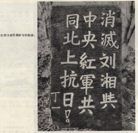 一场锁定张国涛和四方面军命运的大血战
