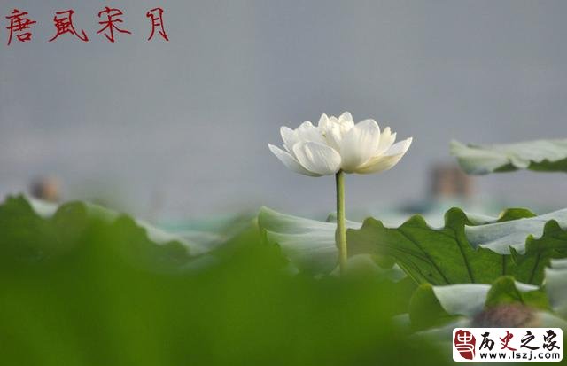 唐朝那位风流皇帝用掷骰子赌输赢的方法让后宫宫女轮流侍寝？