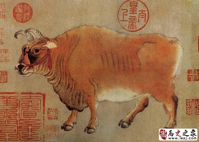 大唐那位相术大师光看地上牛蹄印就能知道公牛母牛？