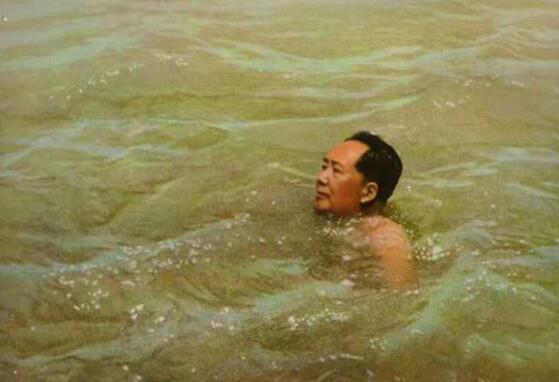 毛泽东诗词鉴赏——浪淘沙 写于毛泽东北戴河游泳之后