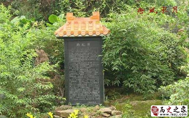 杨贵妃原来根本不喜欢吃荔枝，她吃荔枝完全是迫不得已！