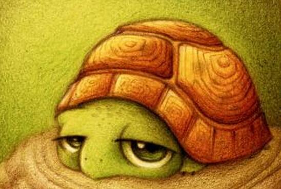 佛教寓言故事：生气的乌龟