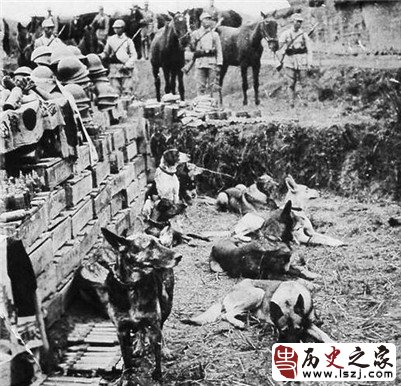 【组图】国军抗战老照片：上高战役中被俘的日军