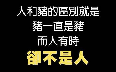 猪狗不如：骂人为何用“猪狗”？感恩为何用“牛马”？