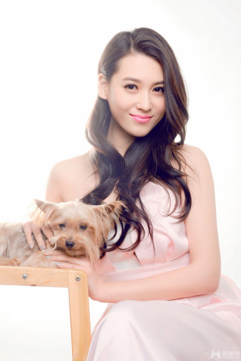 家有儿女宁丹琳携携宠物狗拍摄写真图片