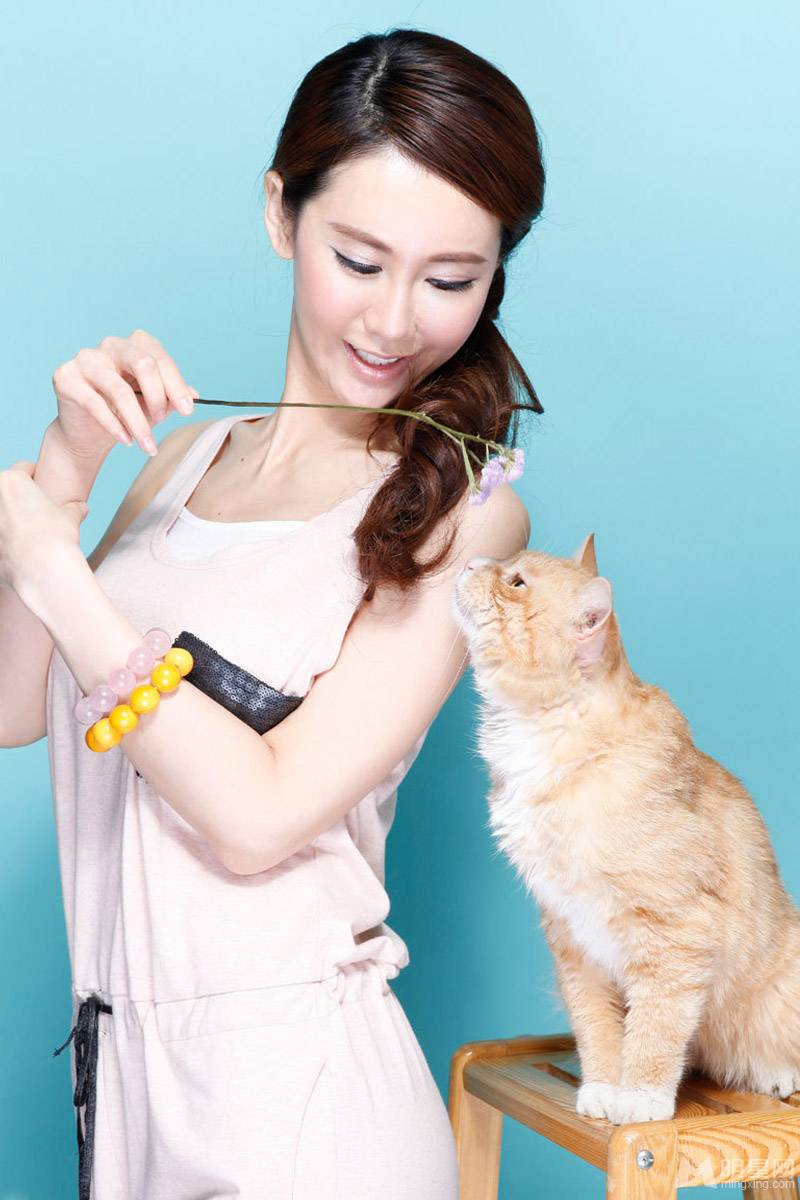 最优雅女明星于咏琳与萌猫亲密互动