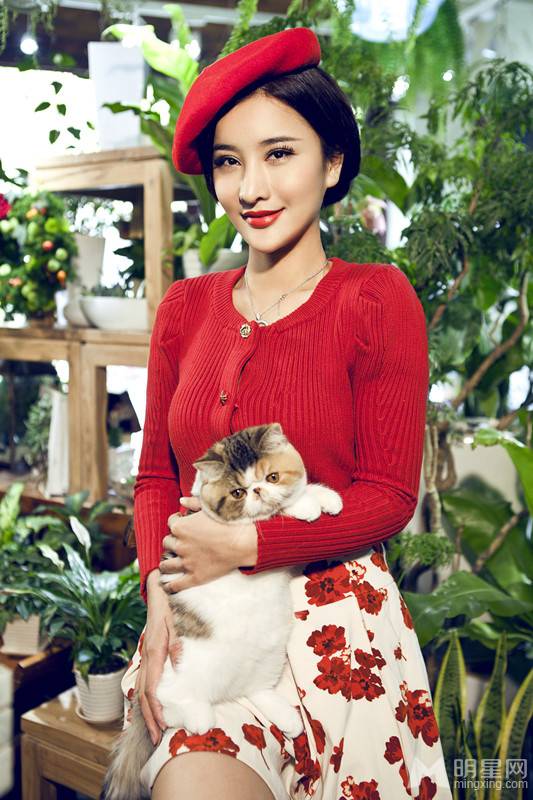 中国2016漂亮女星张虹一宠物写真