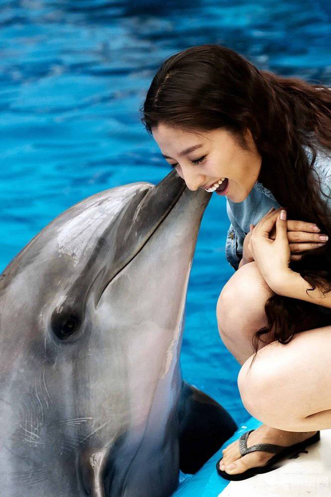 女明星潘辰被海豚亲吻高清图片