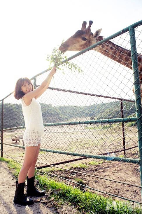 李菲儿与萌宠有爱互动户外写真