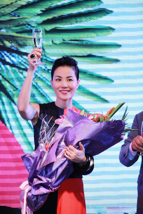 巡回演唱会发布会现场的王菲组图
