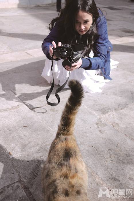 陈乔恩与猫咪生活照曝光