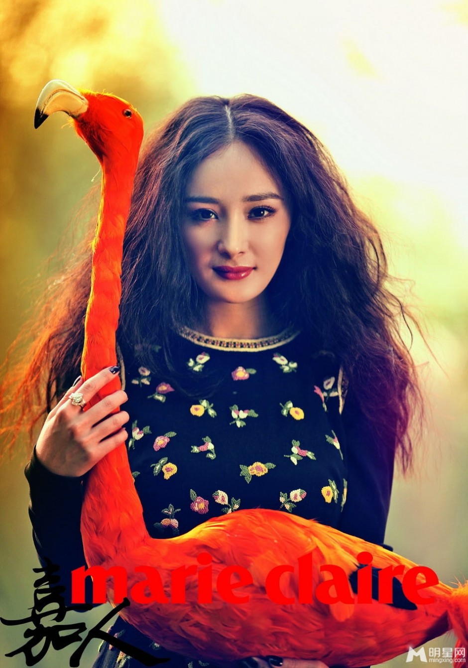 美女明星杨幂巴厘岛优雅风情写真