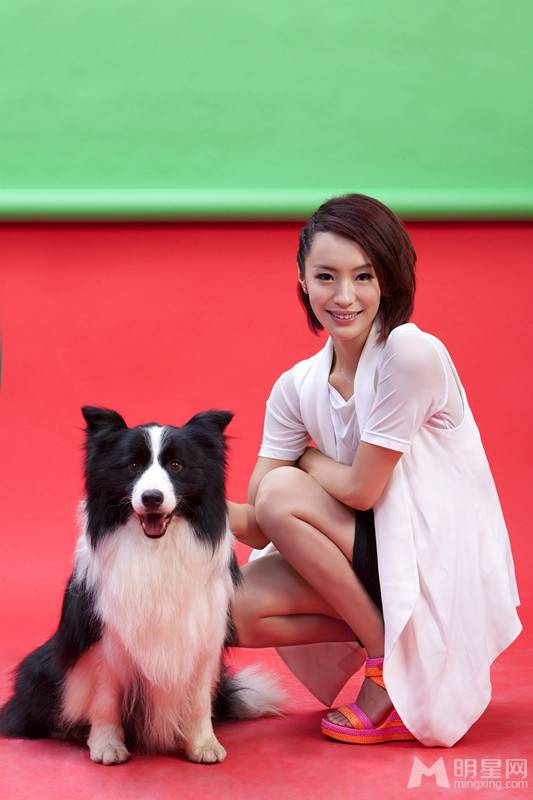 韩晓携宠物上演奇幻之旅写真