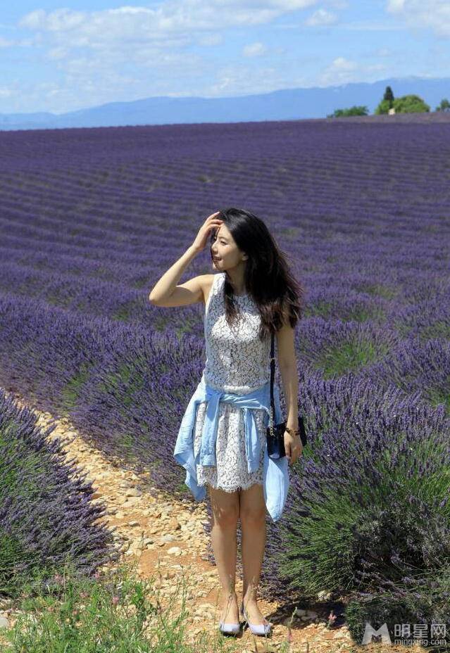 高圆圆在薰衣草花海展现自信甜美写真