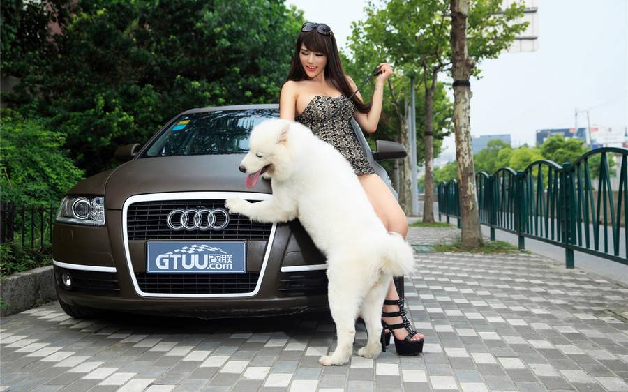 美女车模苏夏车内诱惑写真照片